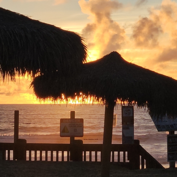 Meet your Posher, Christina - Picture 2 of 2